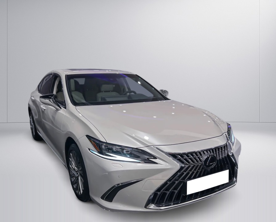 Lexus Seria ES 300h Omotenashi (2)