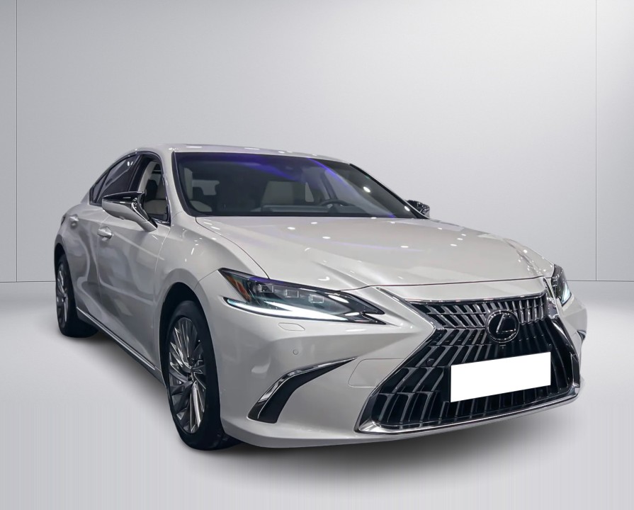 Lexus Seria ES 300h Omotenashi