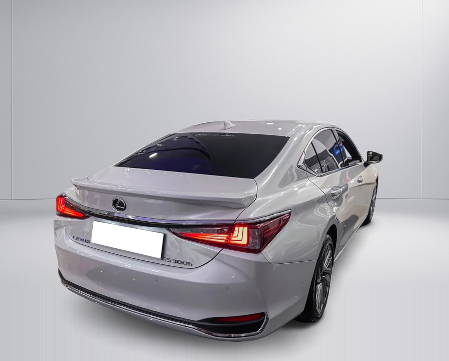 Lexus Seria ES 300h Omotenashi (3)