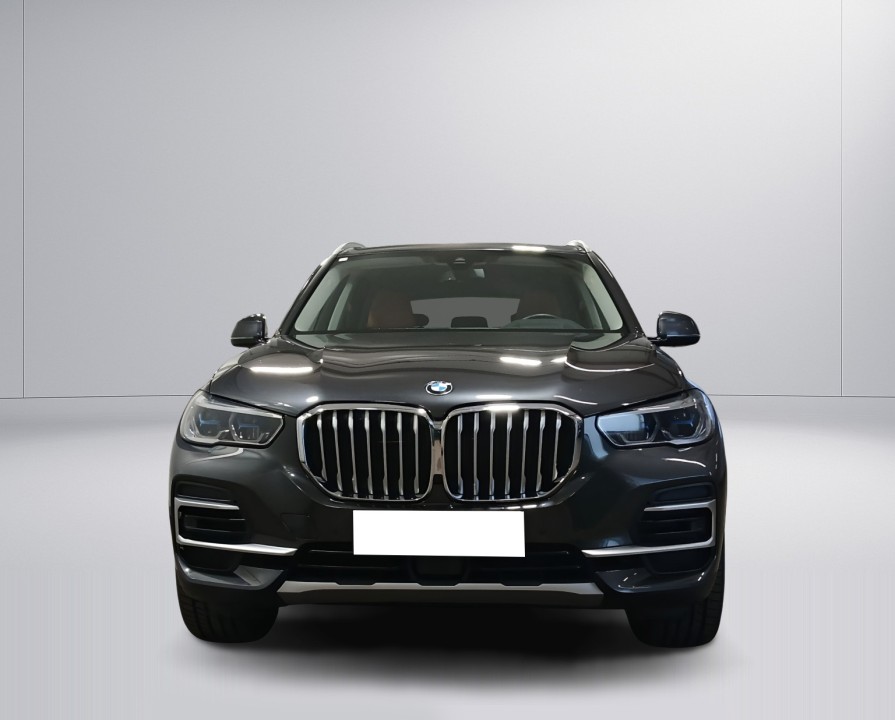 BMW X5 xDrive40i xLine (2)