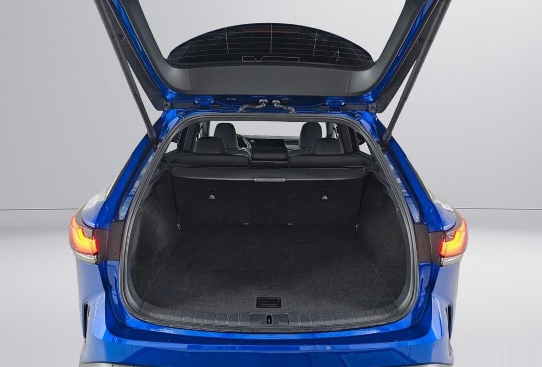 Lexus Seria RX 350h AWD F-Sport - foto 24