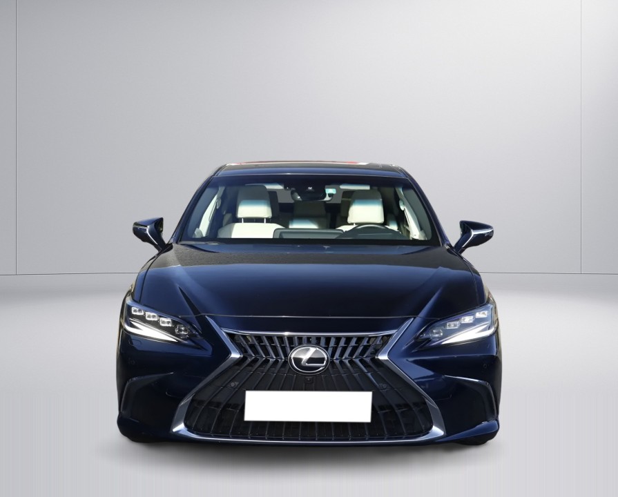 Lexus Seria ES 300h President Line (4)