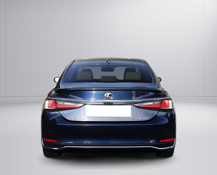 Lexus Seria ES 300h President Line (3)