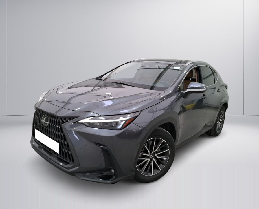Lexus Seria NX 450h+ AWD (2)