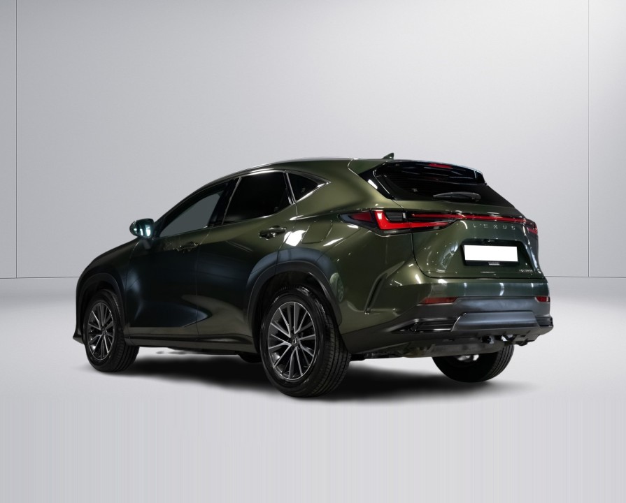 Lexus Seria NX 350h Comfort (4)
