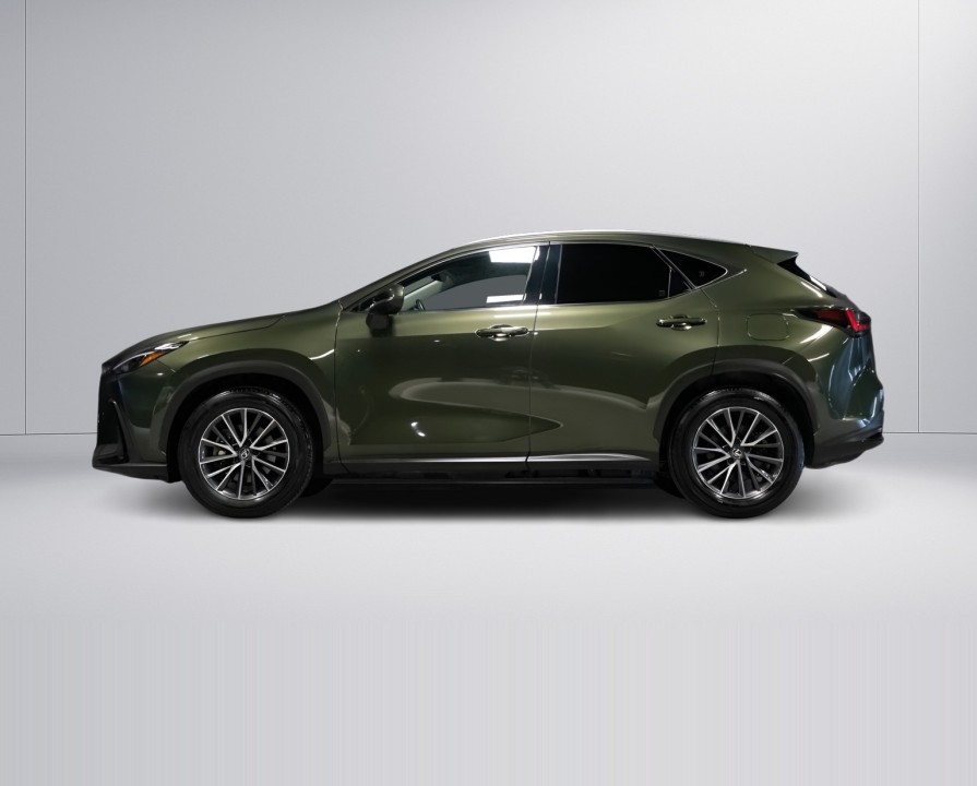 Lexus Seria NX 350h Comfort (5)