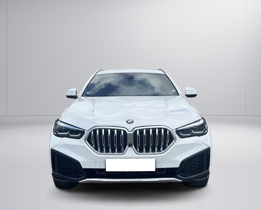 BMW X6 xDrive40i (2)