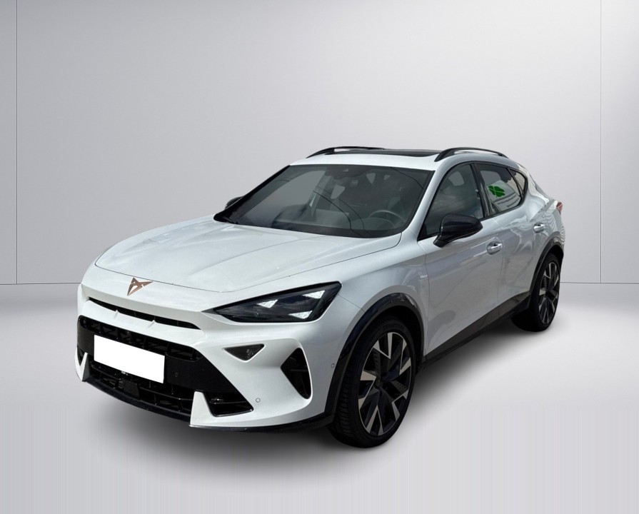 Cupra Formentor VZ 2.0TSI DSG 4DRIVE (5)