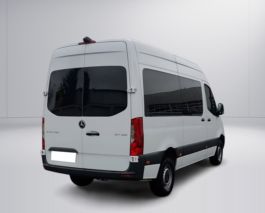 Mercedes-Benz Sprinter 317 CDI (2)