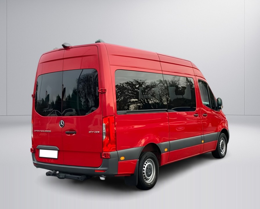 Mercedes-Benz Sprinter 317 CDI (2)
