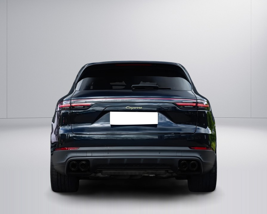 Porsche Cayenne E-Hybrid Platinum Edition (4)