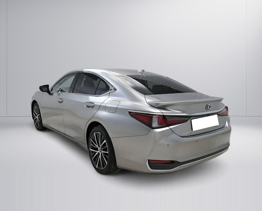 Lexus Seria ES 300h (5)