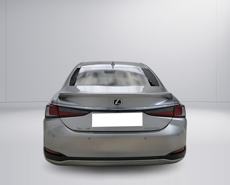 Lexus Seria ES 300h (4)
