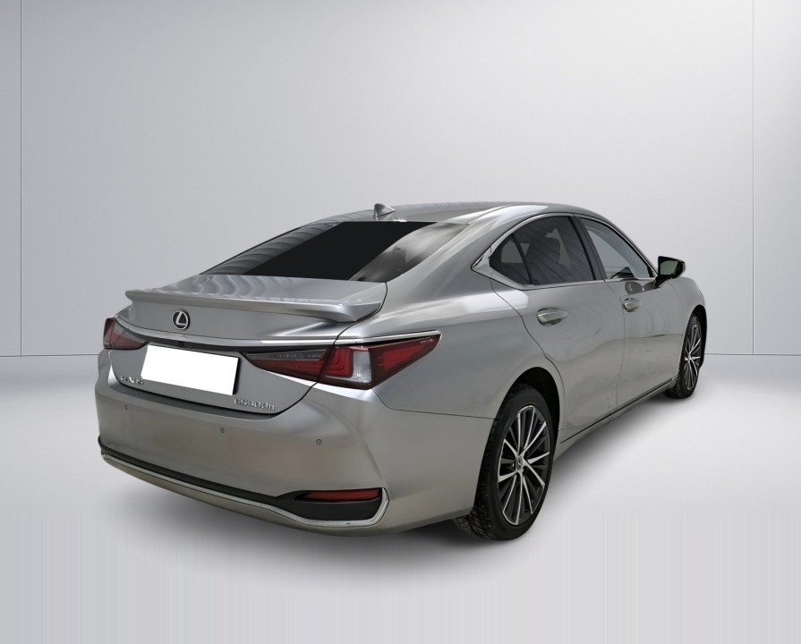 Lexus Seria ES 300h (3)