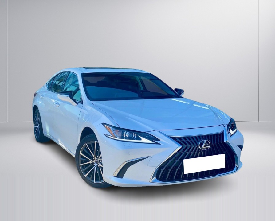 Lexus Seria ES 300h Business Edition