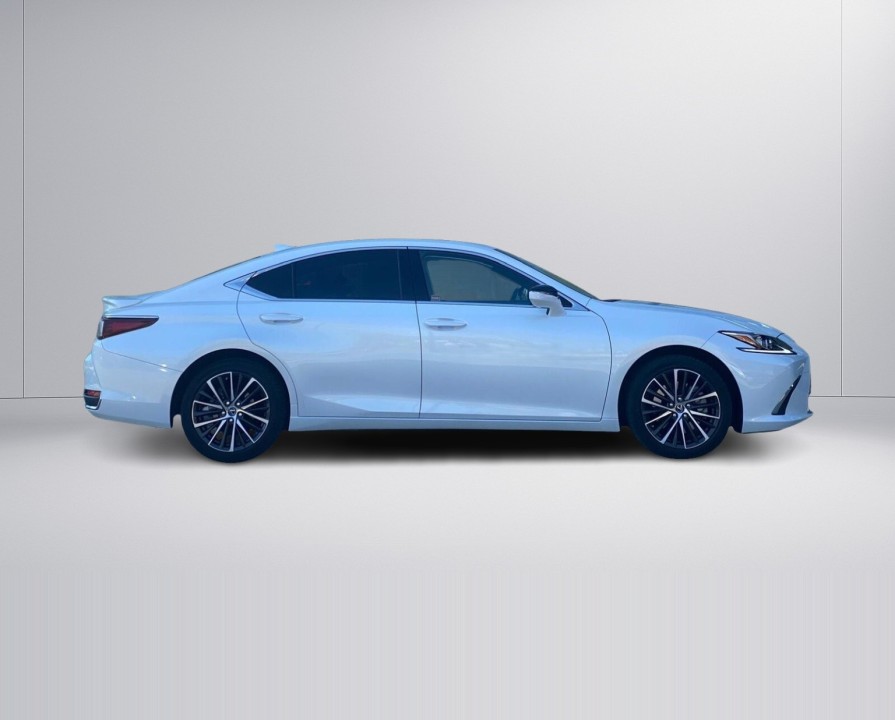 Lexus Seria ES 300h Business Edition (3)