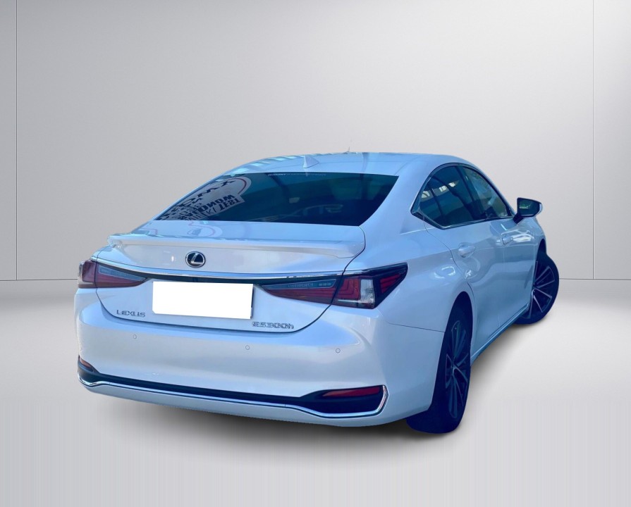 Lexus Seria ES 300h Business Edition (5)