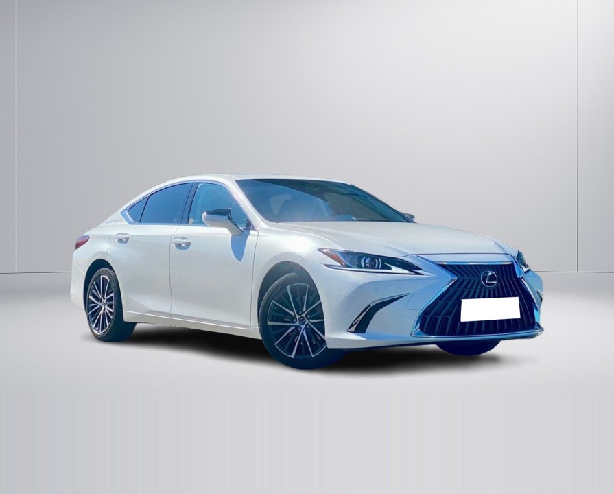 Lexus Seria ES 300h Business Edition (2)