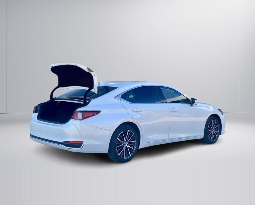 Lexus Seria ES 300h Business Edition (4)