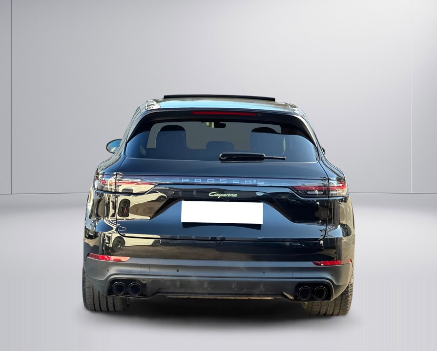 Porsche Cayenne E-Hybrid Platinum Edition (5)