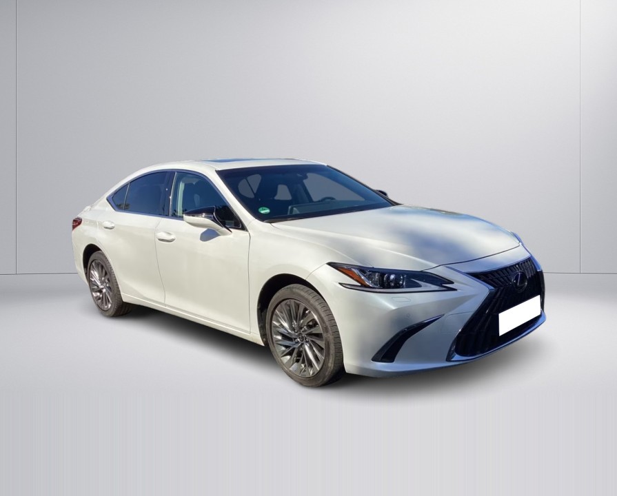 Lexus Seria ES 300h Business