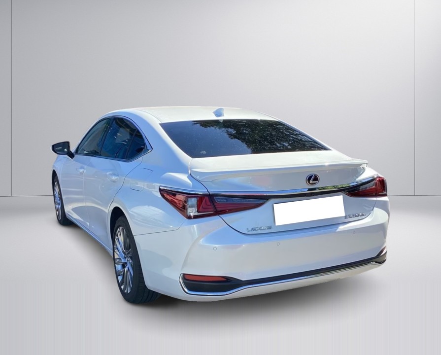 Lexus Seria ES 300h Business (5)