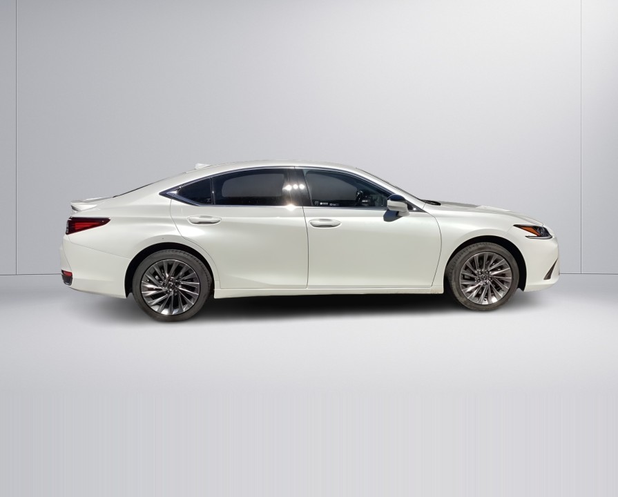 Lexus Seria ES 300h Business (2)