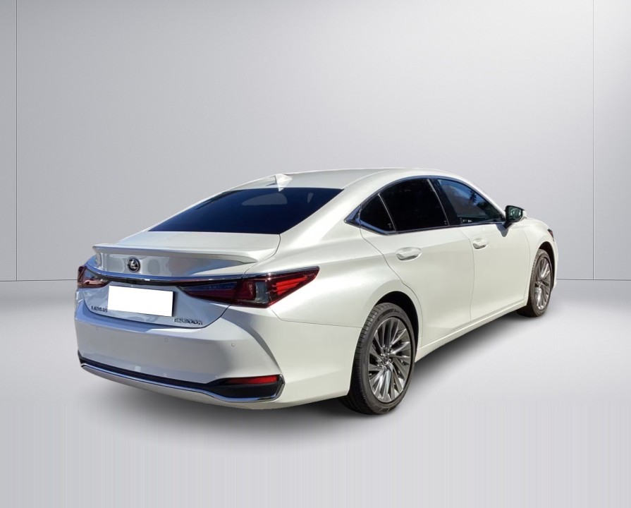 Lexus Seria ES 300h Business (3)