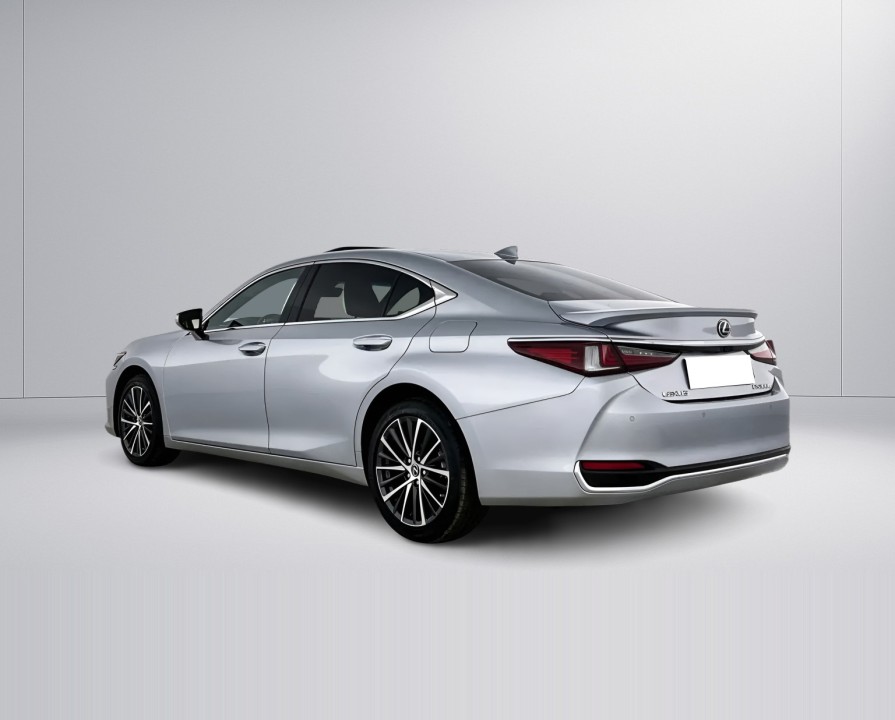 Lexus Seria ES Lexus ES 300h Business Line (4)