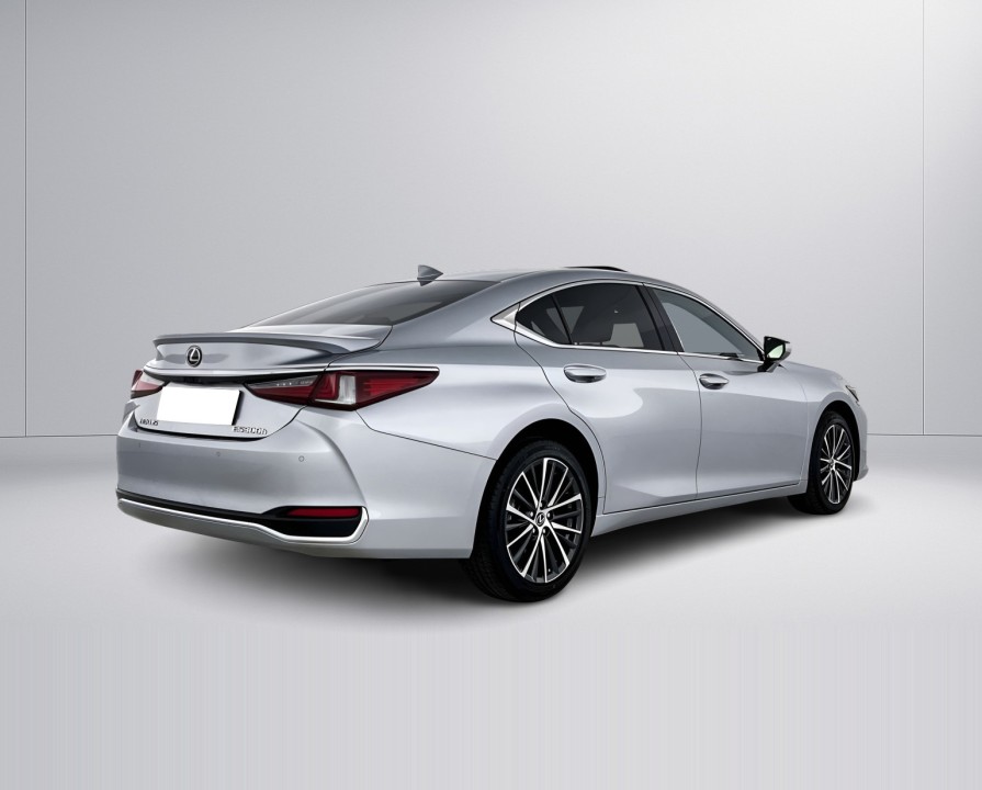 Lexus Seria ES Lexus ES 300h Business Line (3)