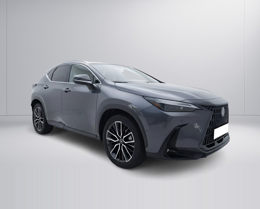 Lexus Seria NX 350h AWD President