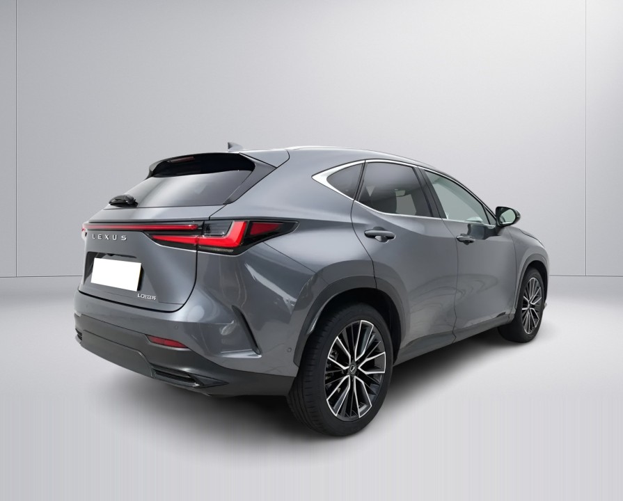 Lexus Seria NX 350h AWD President (2)