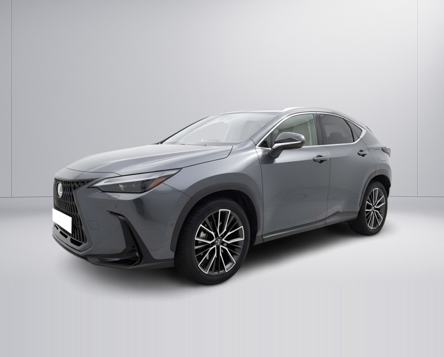 Lexus Seria NX 350h AWD President (4)