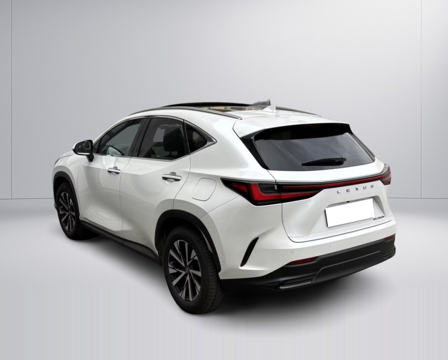 Lexus Seria NX 350h (3)