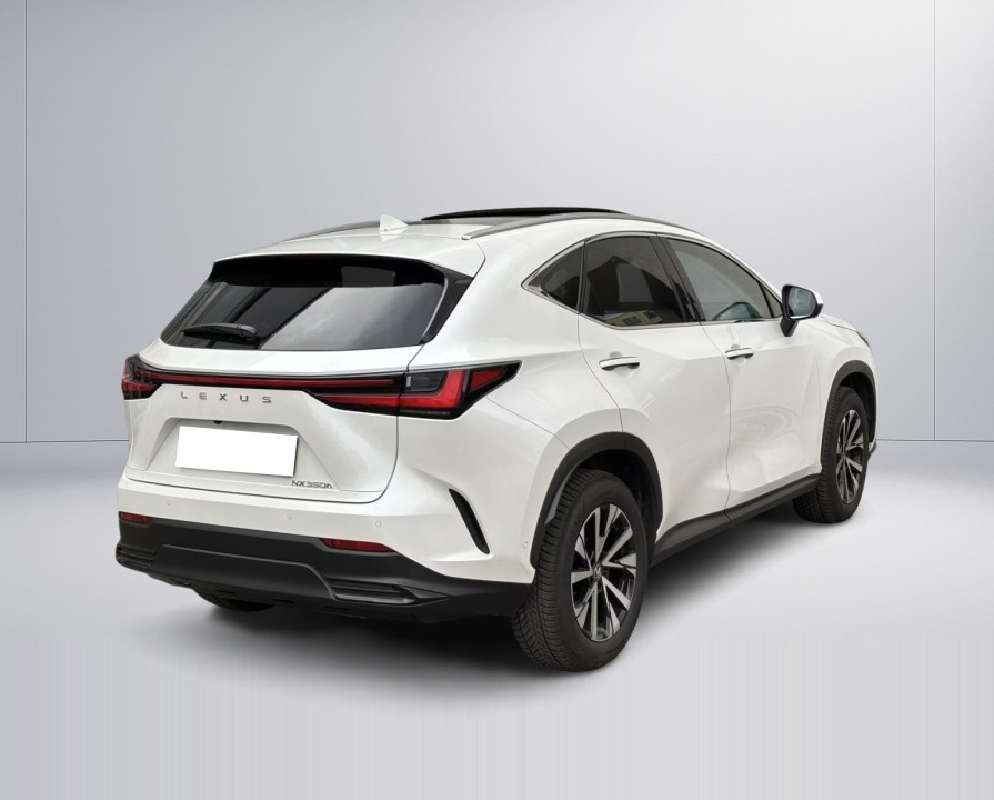 Lexus Seria NX 350h (5)
