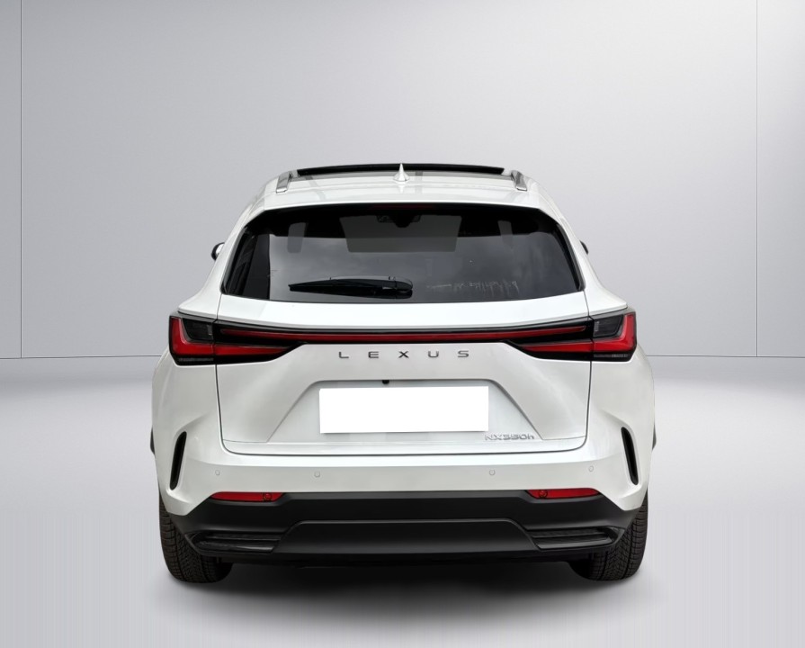 Lexus Seria NX 350h (4)