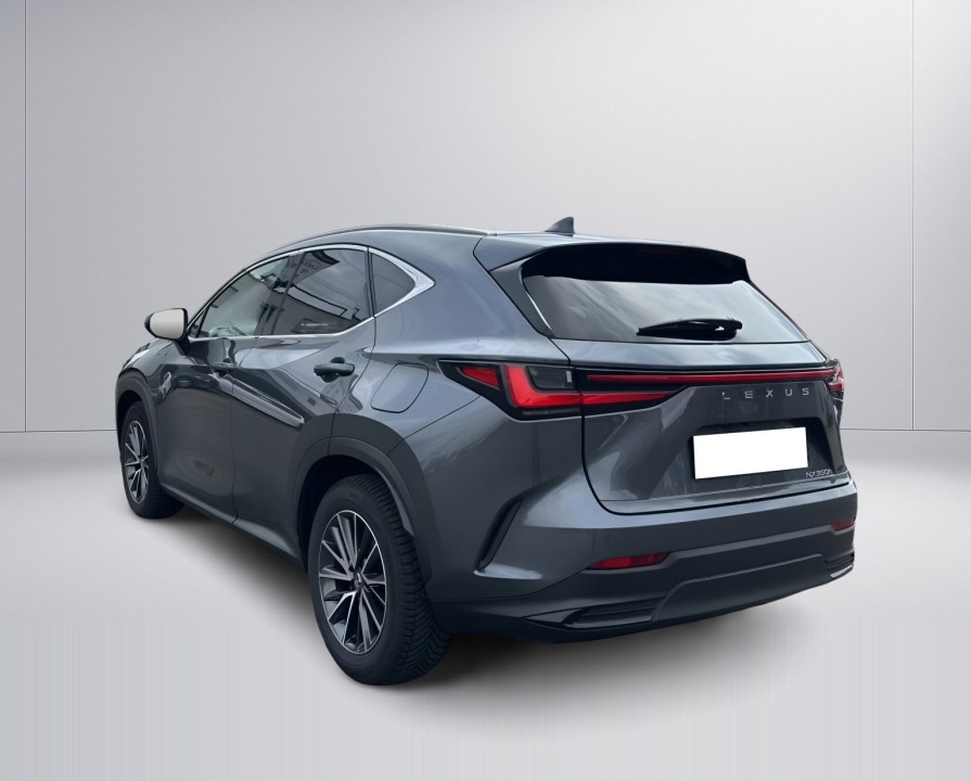 Lexus Seria NX 350h Executive (5)