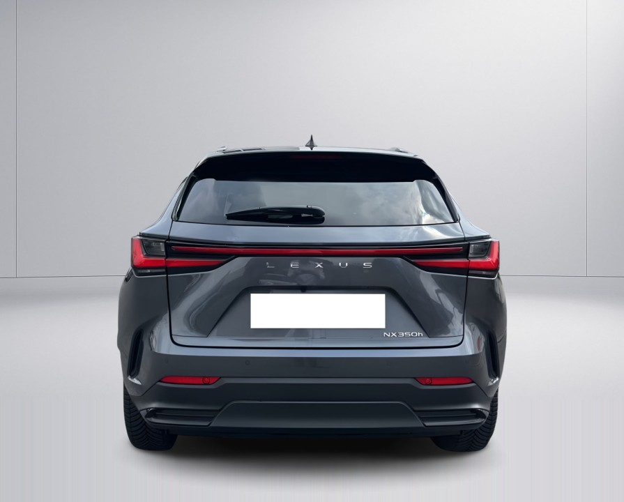 Lexus Seria NX 350h Executive (4)