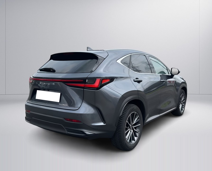 Lexus Seria NX 350h Executive (3)