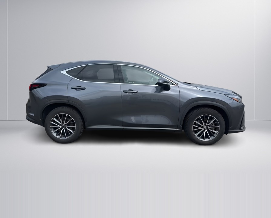 Lexus Seria NX 350h Executive (2)