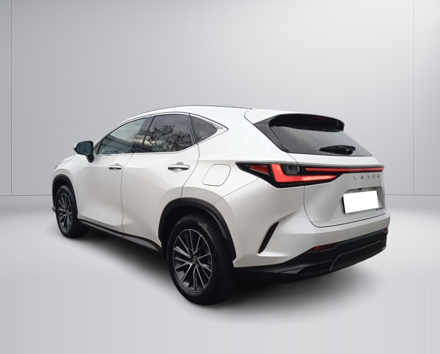 Lexus Seria NX 350h Executive (5)