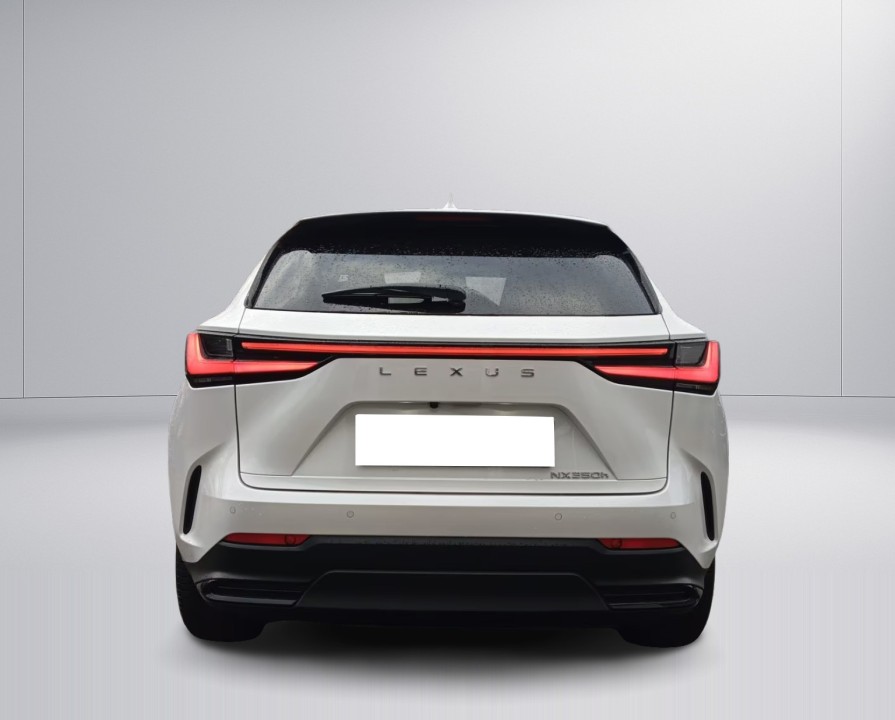 Lexus Seria NX 350h Executive (4)