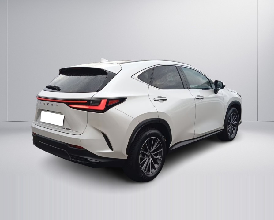 Lexus Seria NX 350h Executive (3)