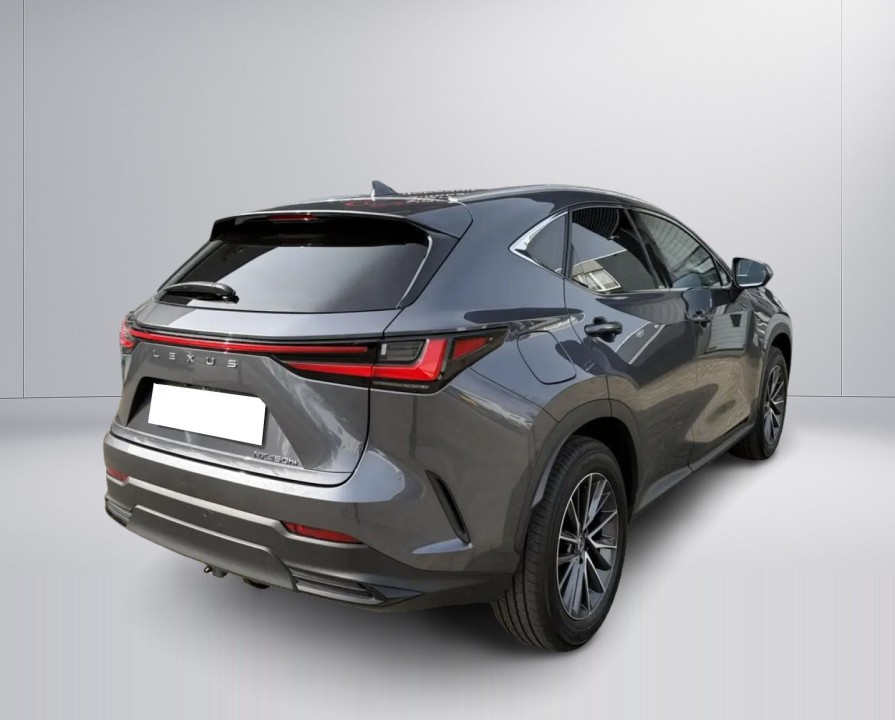 Lexus Seria NX 450h+ AWD Luxury (3)