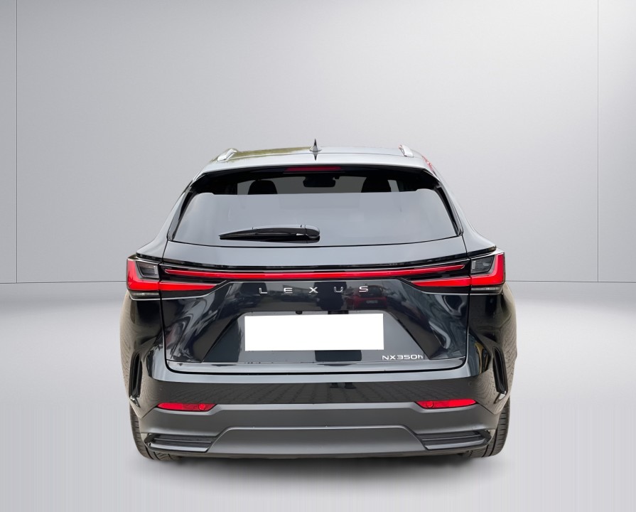 Lexus Seria NX 350h Executive (4)