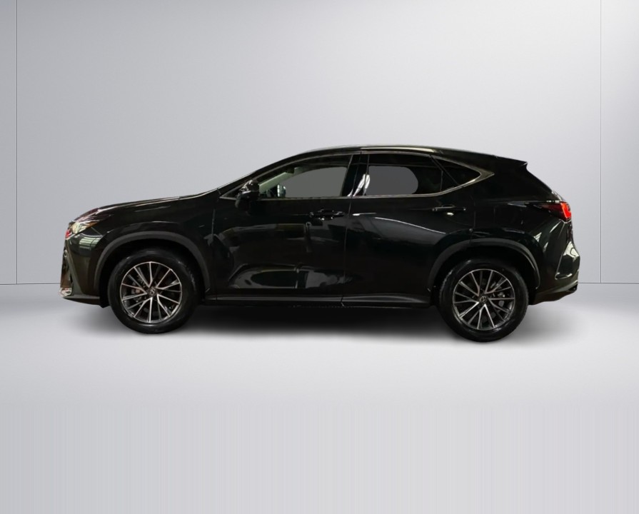 Lexus Seria NX 350h Executive (5)