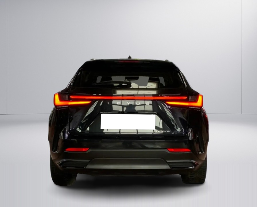 Lexus Seria NX 350h Executive (3)