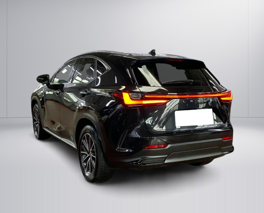Lexus Seria NX 350h Executive (4)