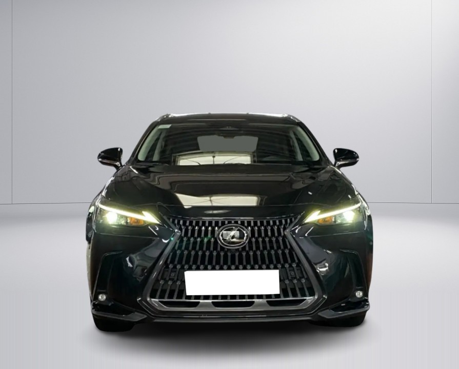 Lexus Seria NX 350h Executive - foto 7