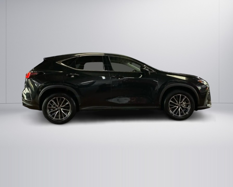 Lexus Seria NX 350h Executive (2)
